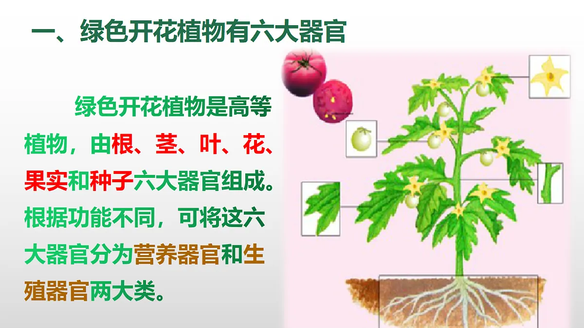 17377573第4页