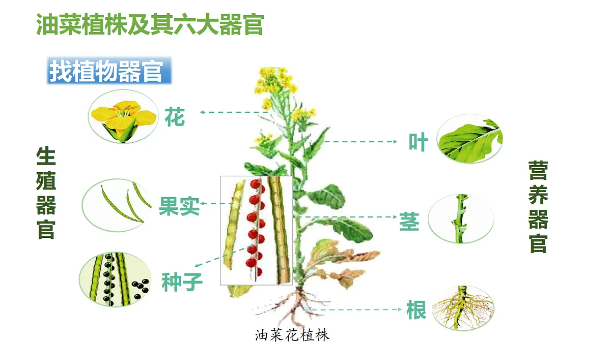 17377573第5页