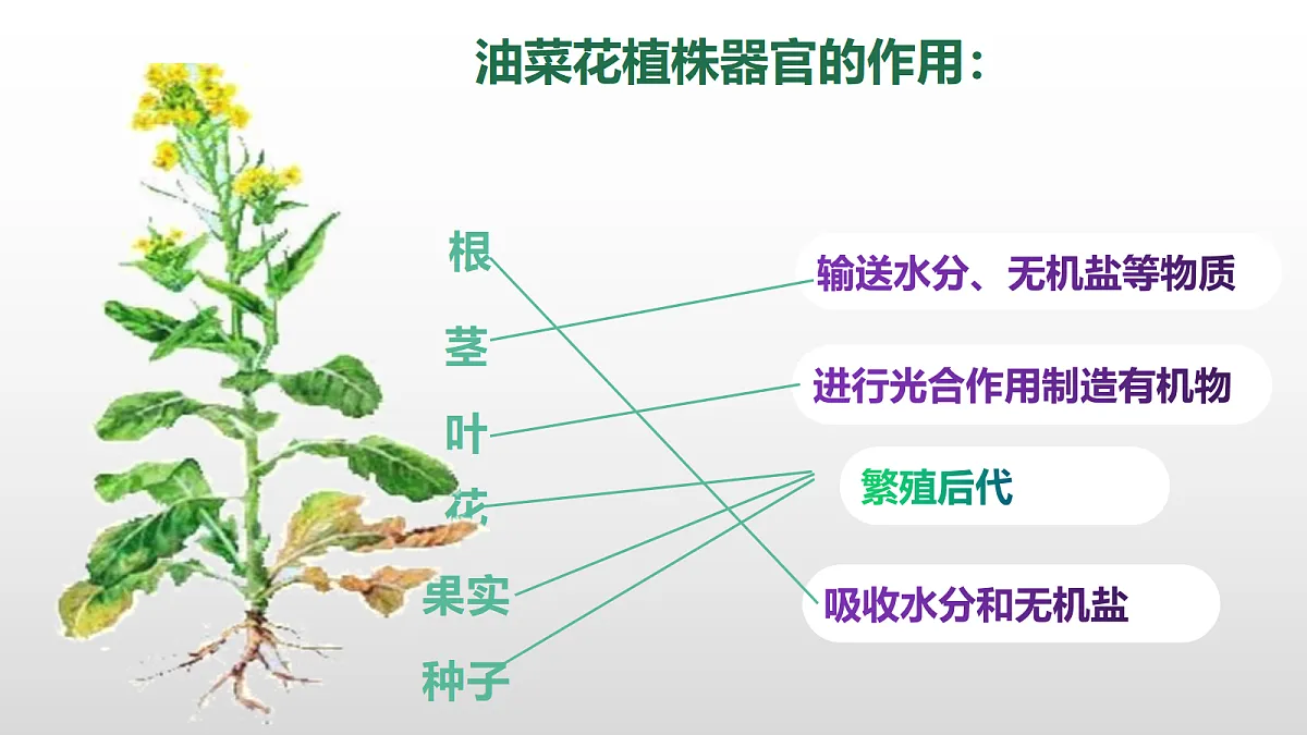 17377573第6页
