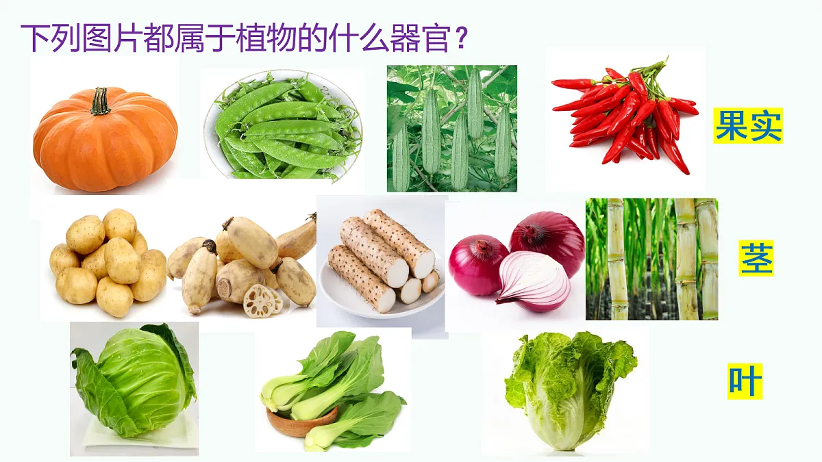 17377573第7页