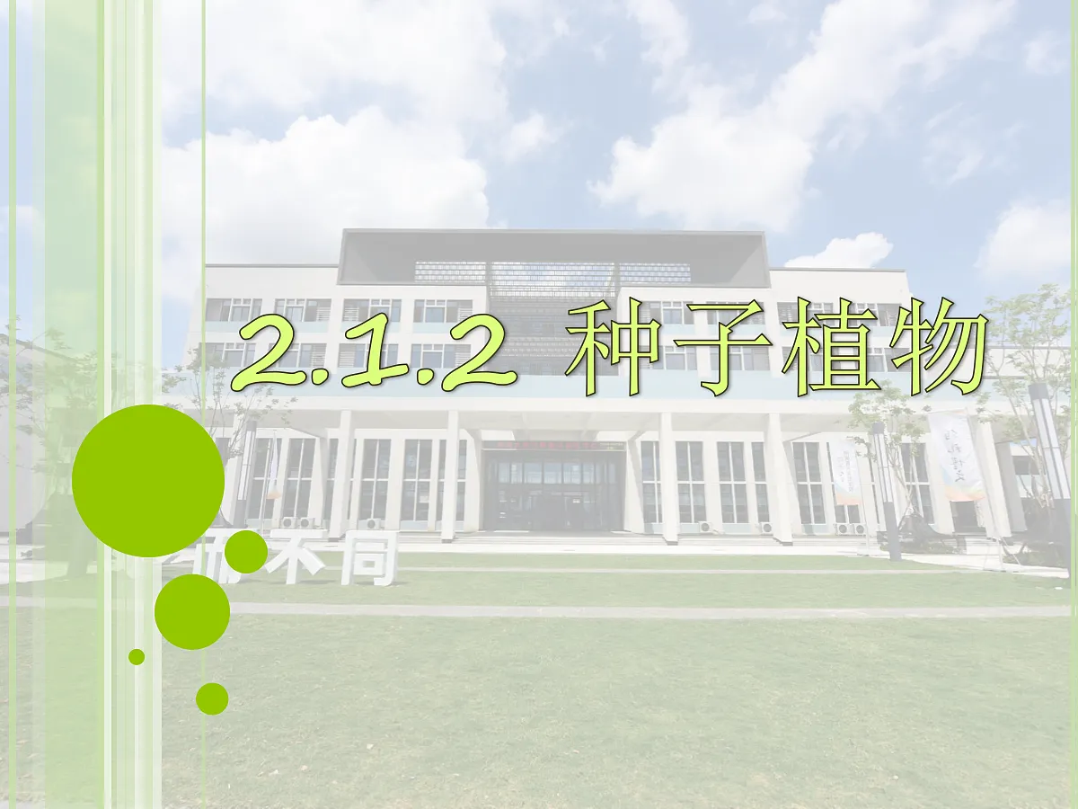 17377574第1页