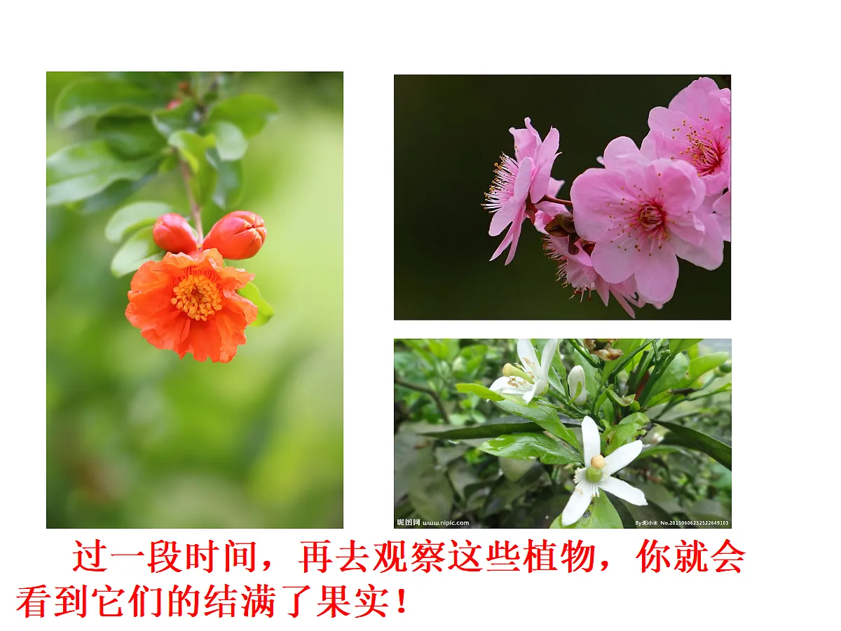 17377574第4页