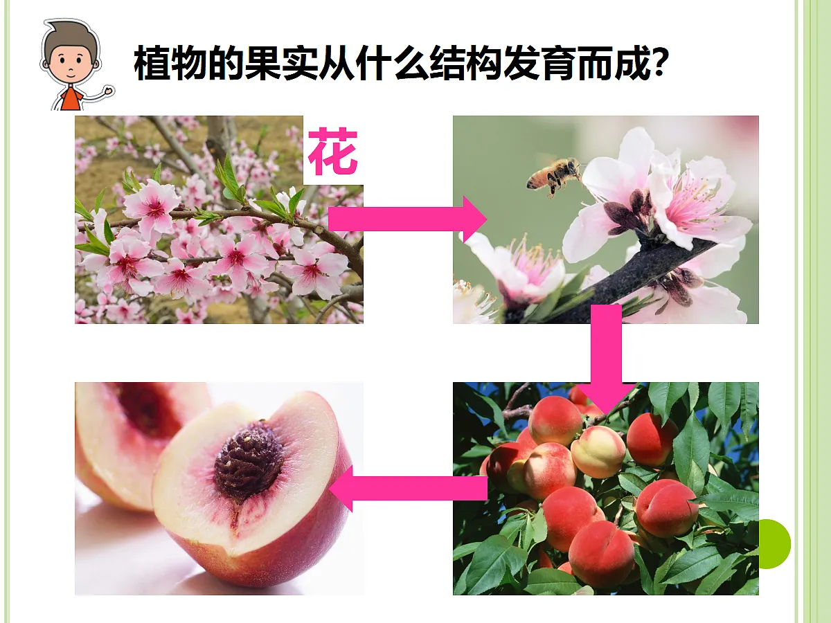 17377574第5页