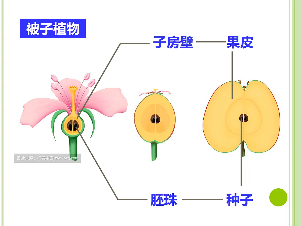 17377574第6页