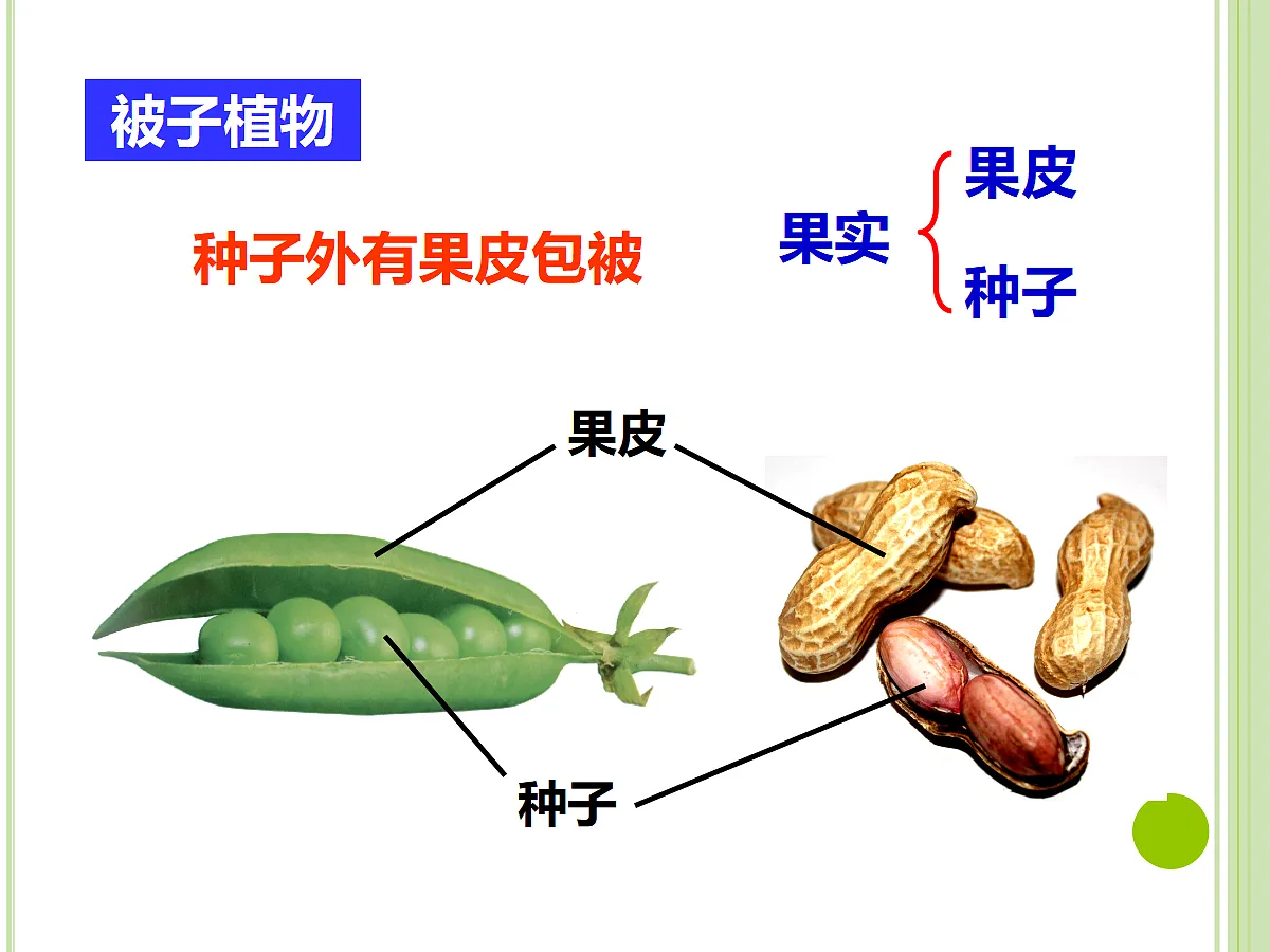 17377574第7页