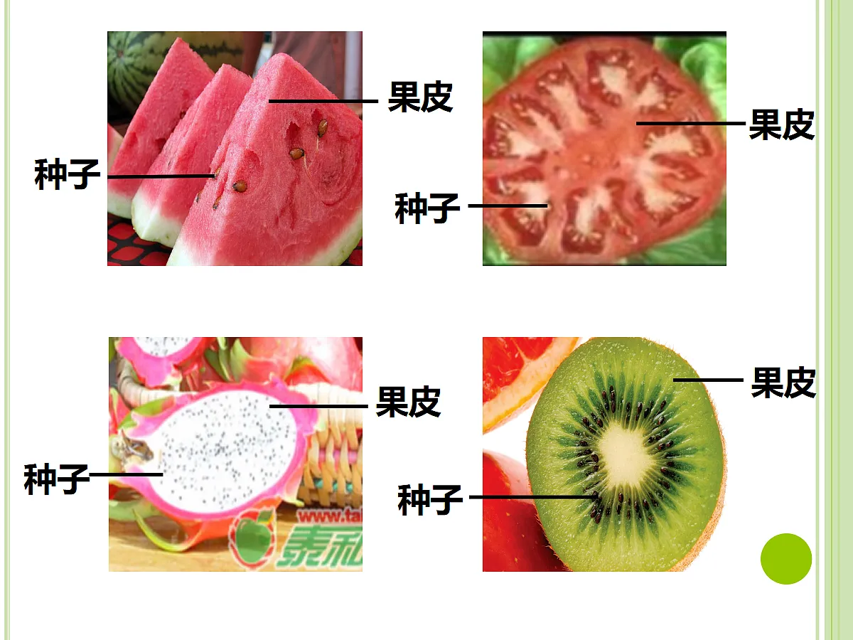 17377574第8页