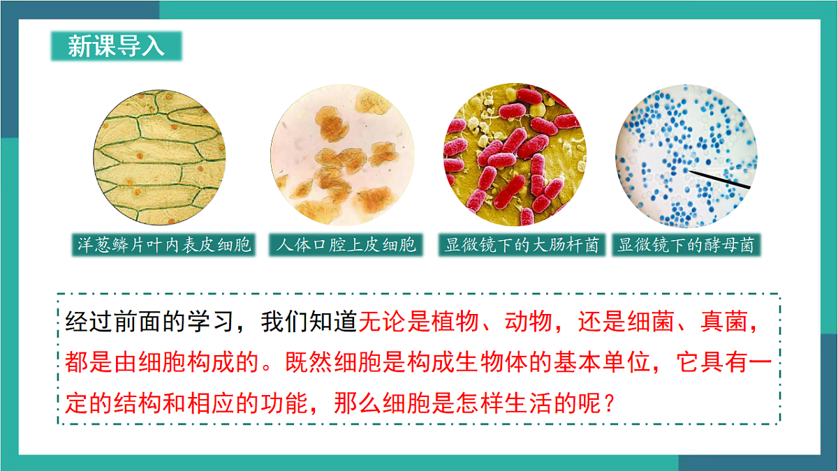 17377575第3页