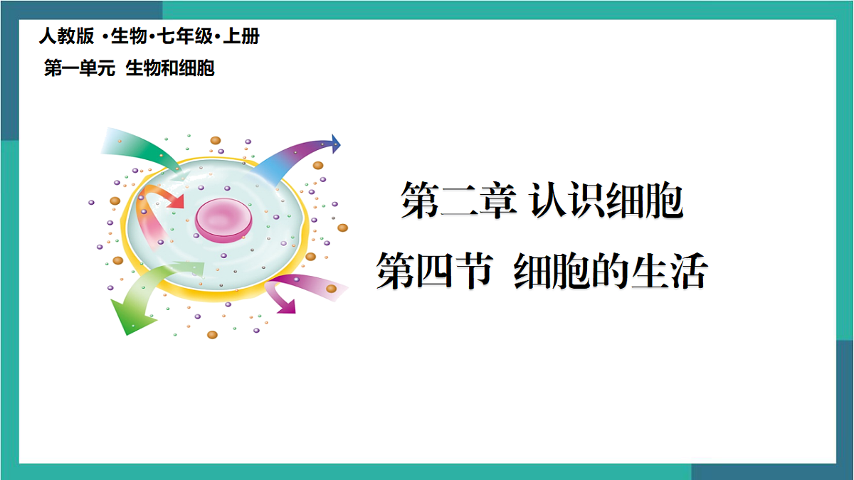 17377575第4页