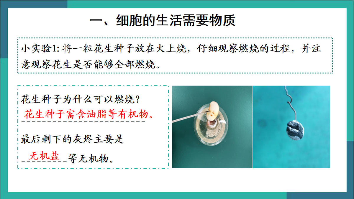 17377575第7页