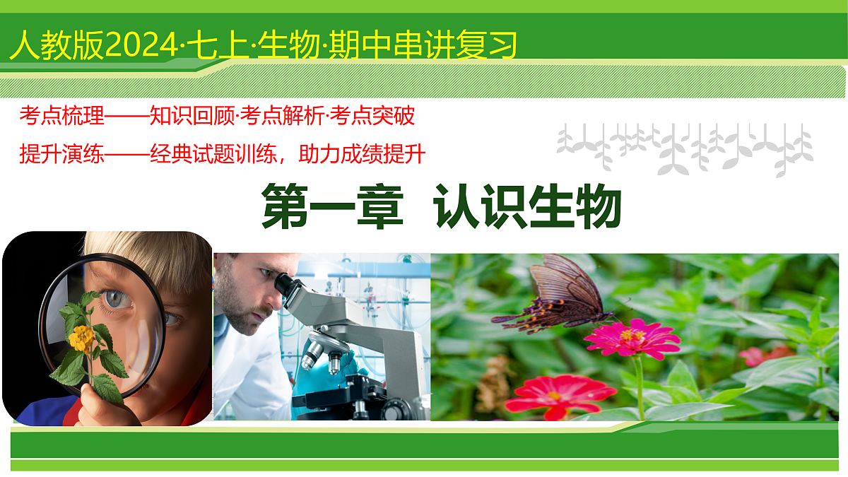 17377576第1页