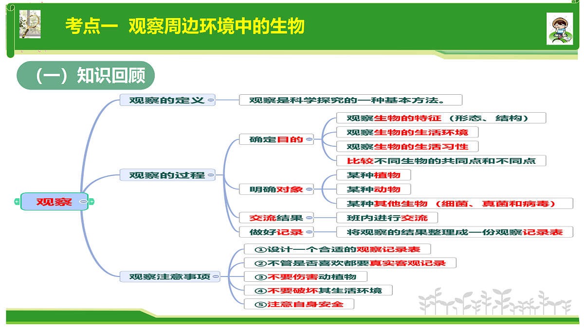 17377576第5页