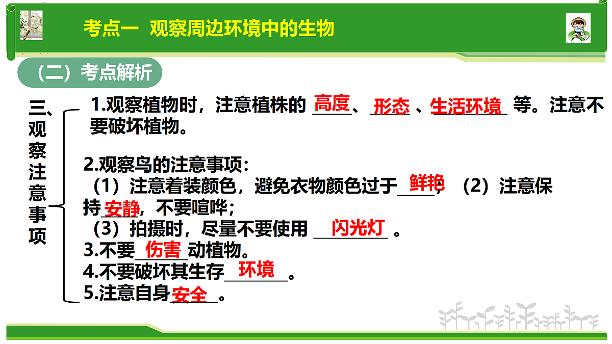 17377576第8页