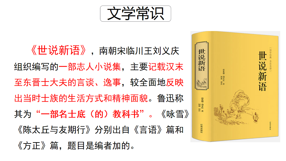 17377666第3页