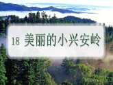 统编版语文三年级上册第18课《美丽的小兴安岭》课件
