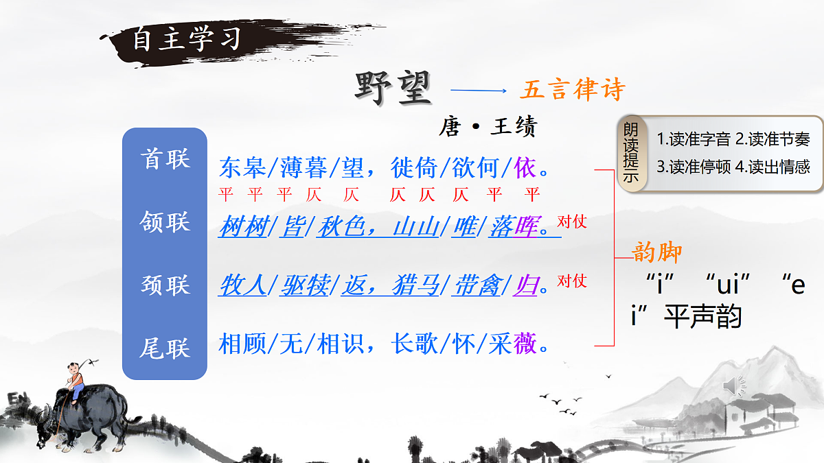 17377775第8页