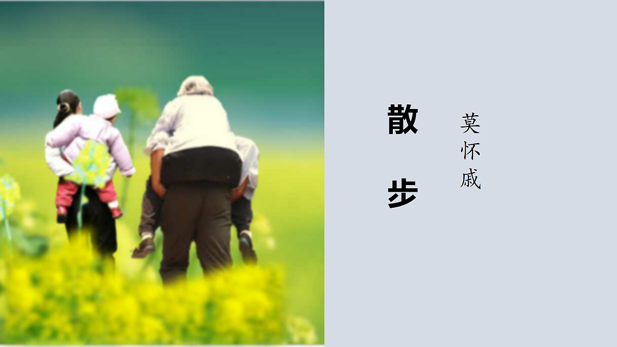 17377784第2页