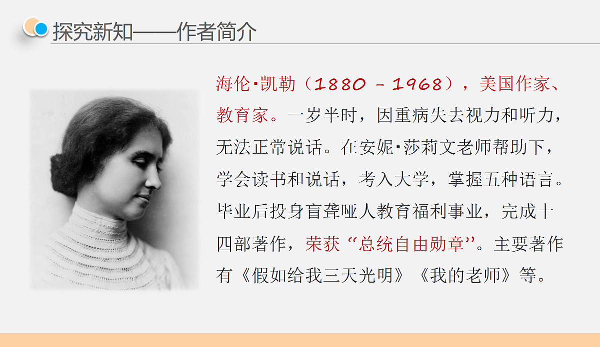 17377786第4页