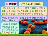 初中  生物  人教版（2024）  八年级上册4.7.2 免疫与免疫规划 课件