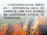 18 美丽的小兴安岭 课件 统编版语文三年级上册