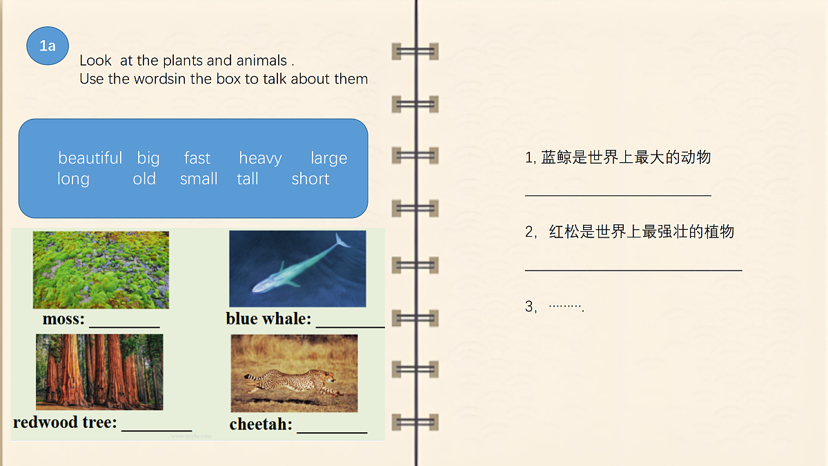 17378149第6页