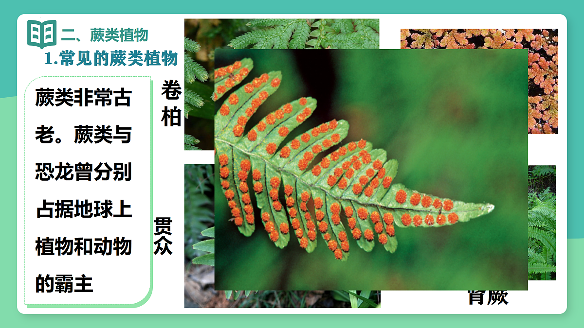 17378306第4页