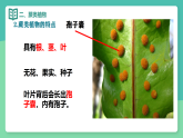 人教版生物七年级上册2.1.1《藻类、苔藓植物和蕨类植物》-课件