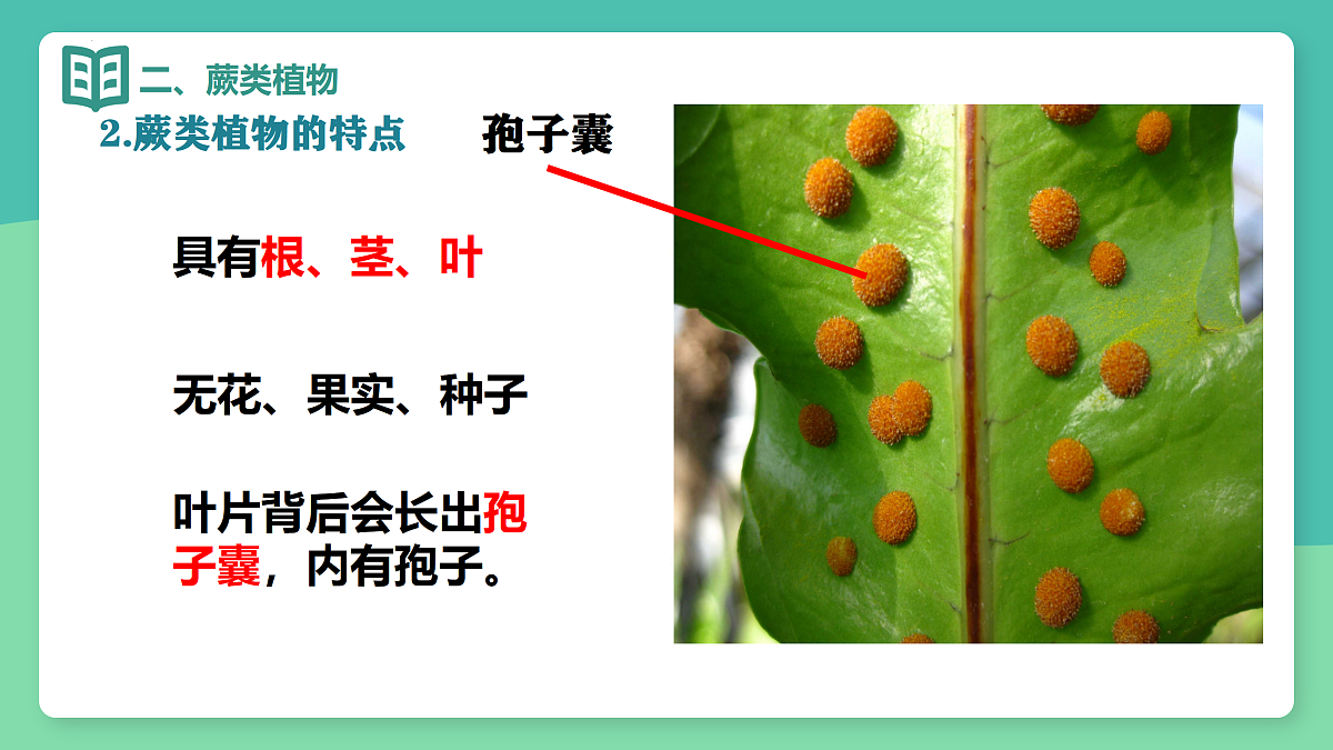 17378306第5页