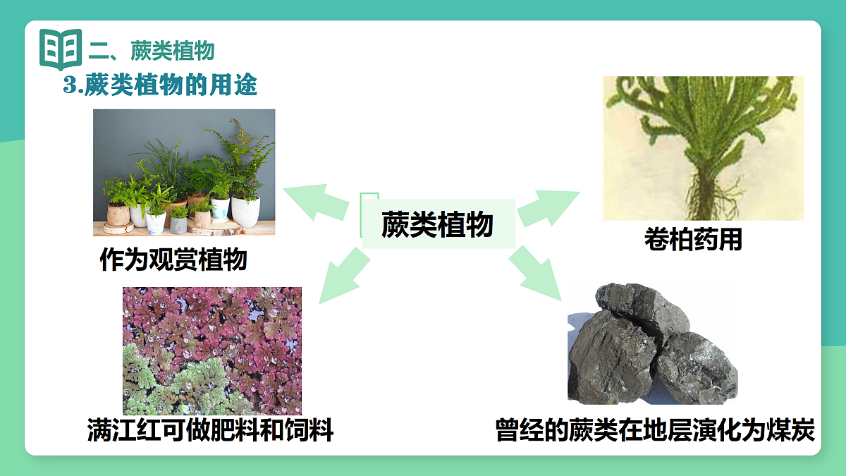 17378306第6页