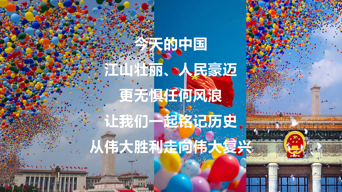 17378308第3页