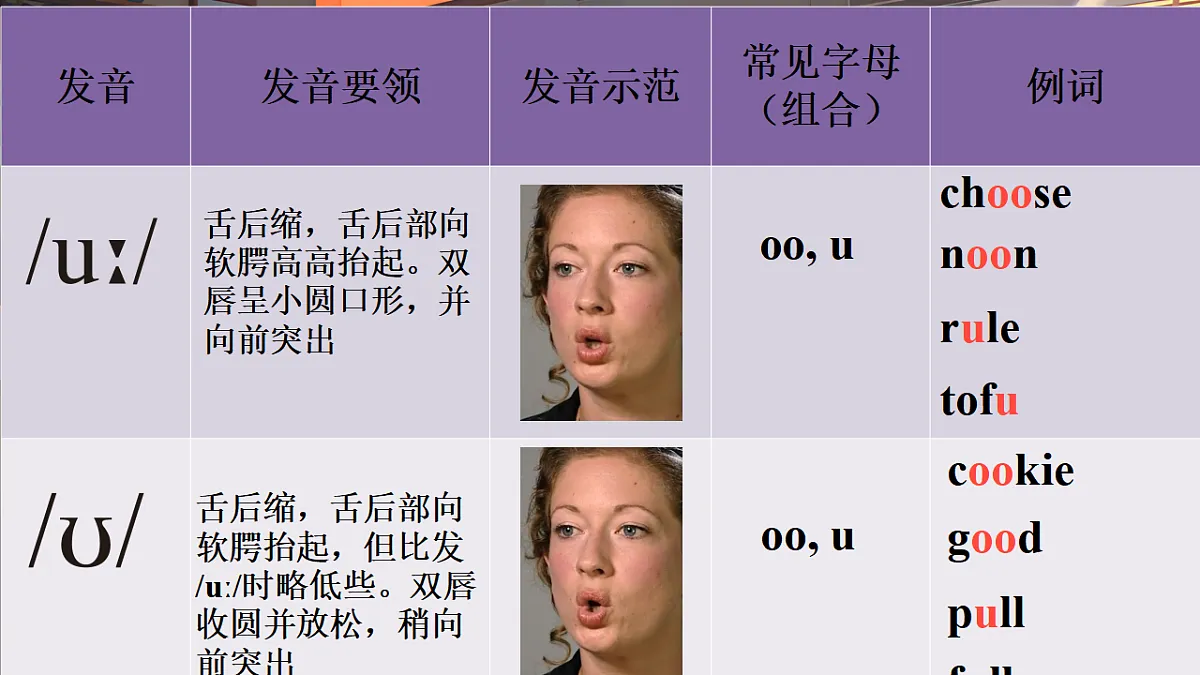 17378660第5页