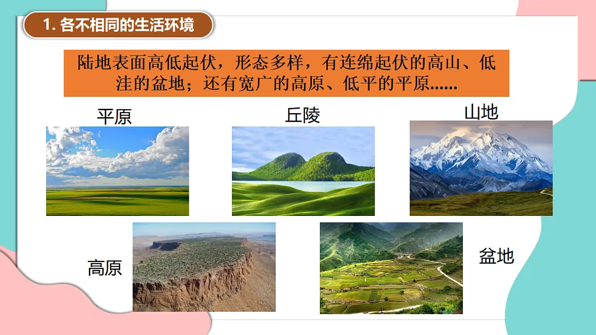 17378868第8页