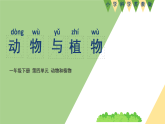 新苏教版一年级科学下册 十二、动物与植物（课件）