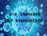 初中  生物  北师大版（2024）  八年级上册5.12.1 微生物的特点和主要类型 课件