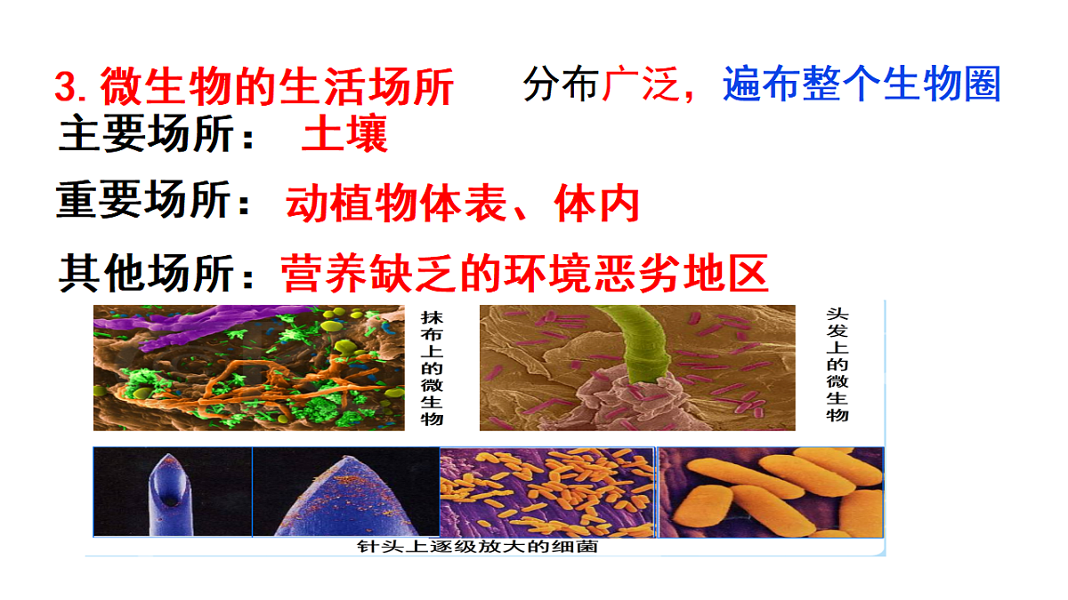 17379345第8页