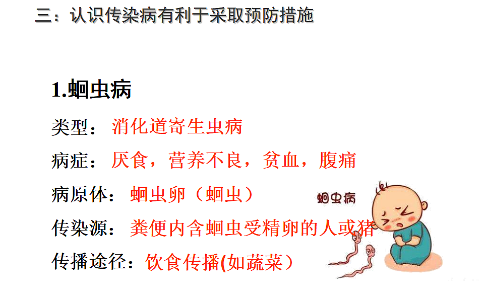 17379384第2页