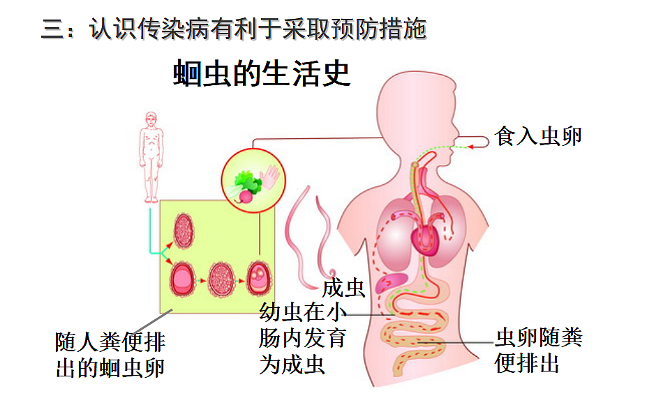 17379384第3页