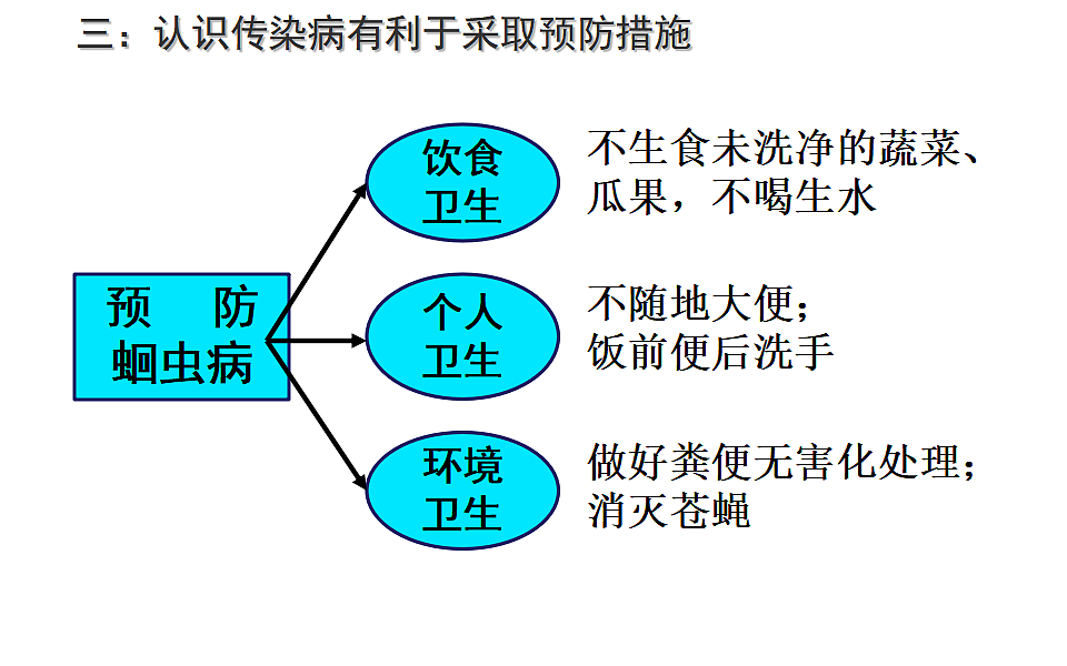 17379384第4页