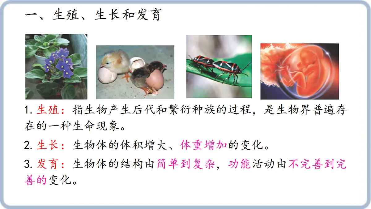 17379434第4页