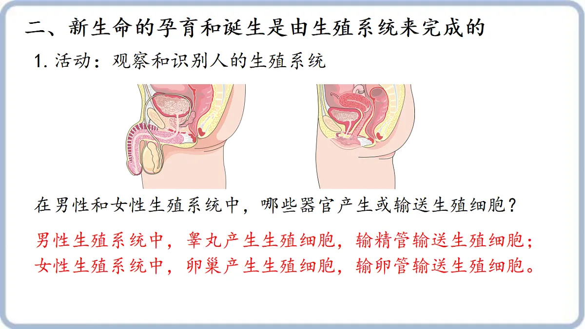17379434第5页