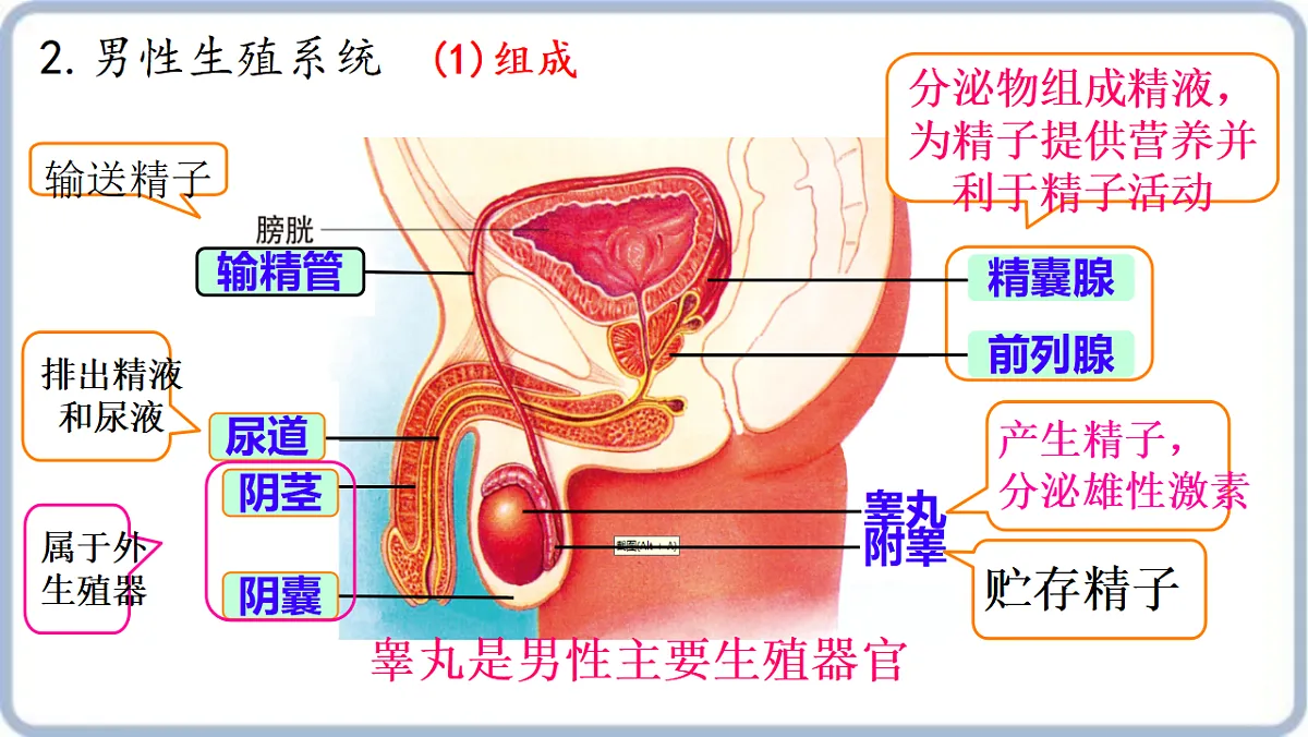 17379434第6页