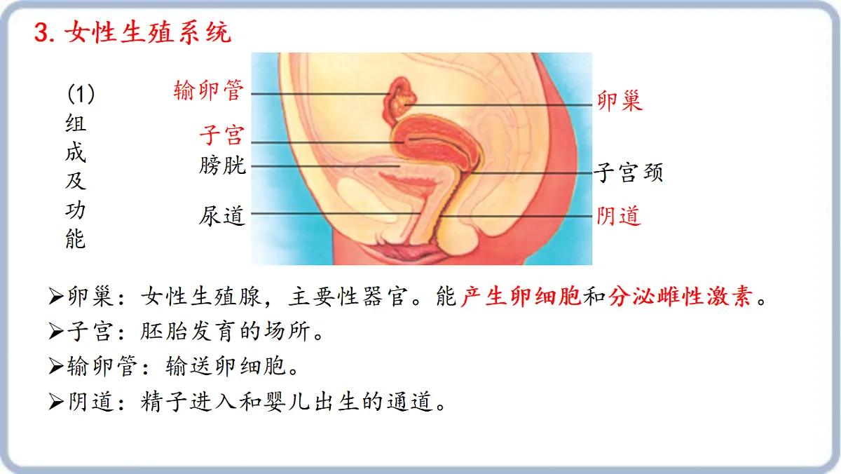 17379434第8页