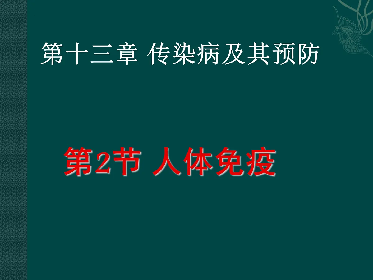 17379656第1页