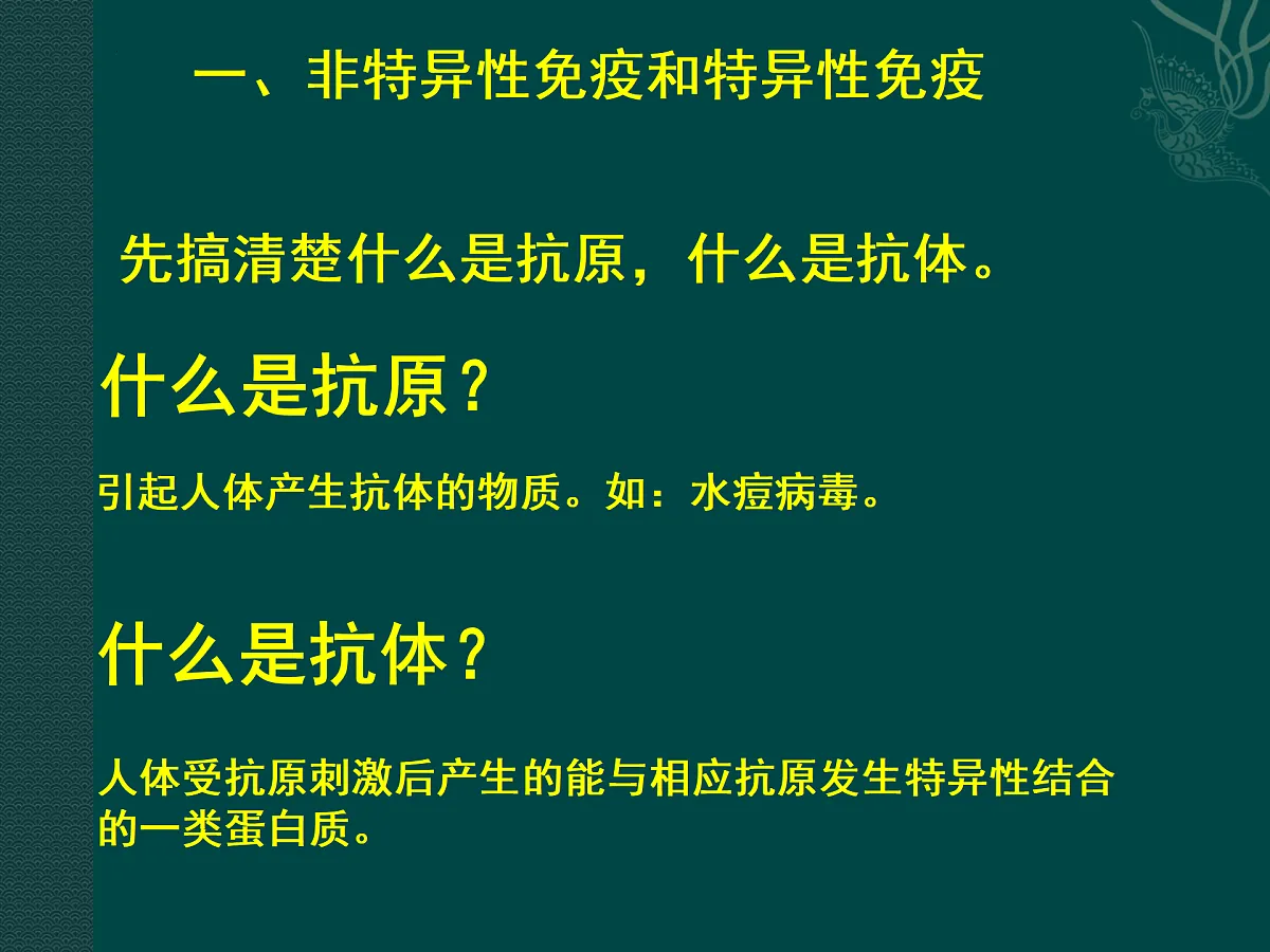 17379656第4页
