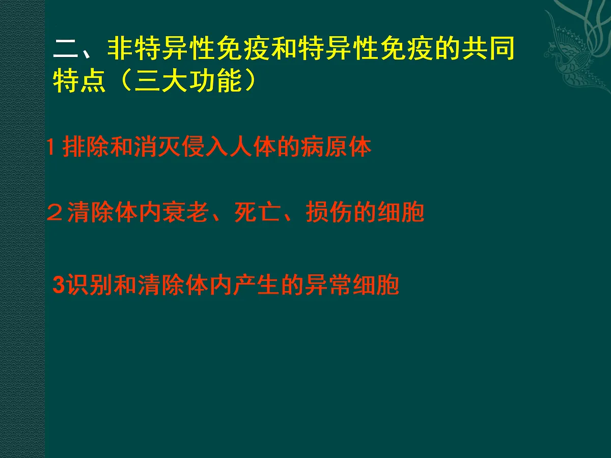 17379656第8页