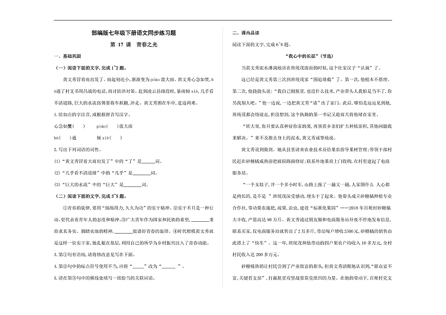 部编版七年级语文下册第 17 课《青春之光》同步练习（原卷版）A3第1页