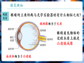 【新教材核心素养】沪科版物理八年级全册第4章第3节《神奇的“眼睛”》课件+教案+分层练习+重难点训练
