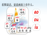 11 ɑo ou iu 课件 统编版语文一年级上册