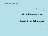 Unit 6  More about me   Lesson 1  课件 冀教版英语四年级上册