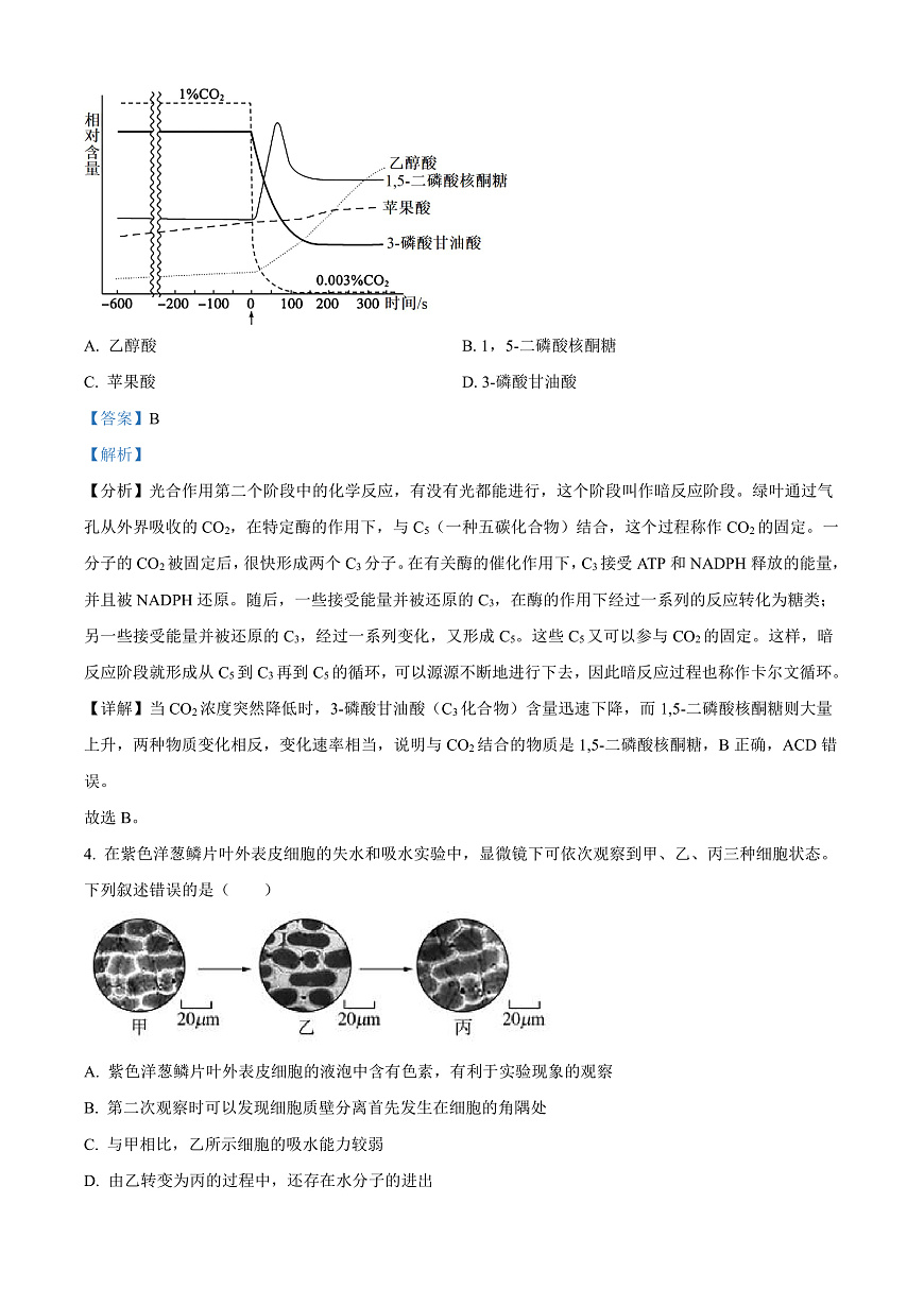 河北省石家庄市第一中学2025-2026学年高三上学期9月月考生物试题  Word版含解析第3页