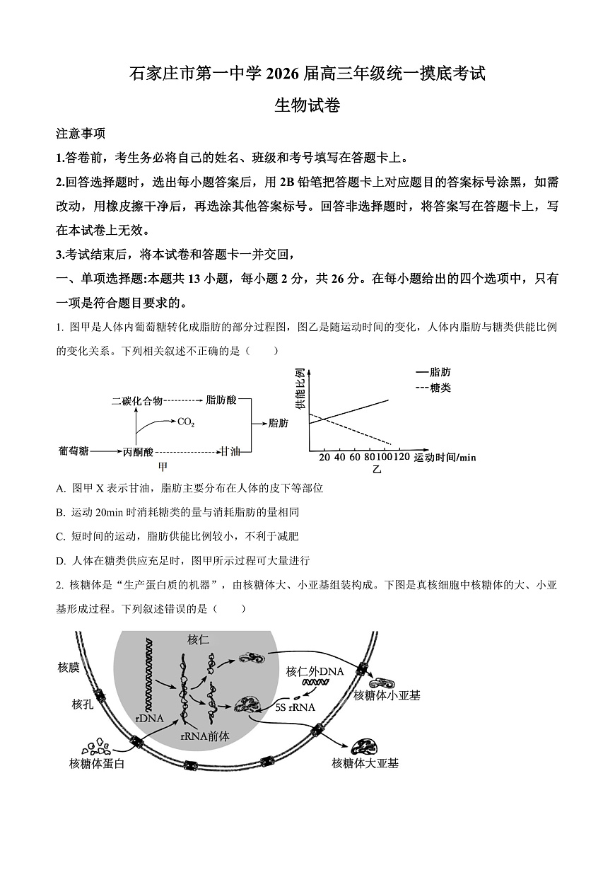 河北省石家庄市第一中学2025-2026学年高三上学期9月月考生物试题  Word版无答案第1页